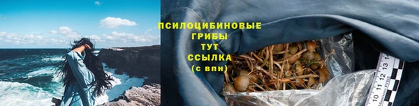 ПСИЛОЦИБИНОВЫЕ ГРИБЫ Абаза