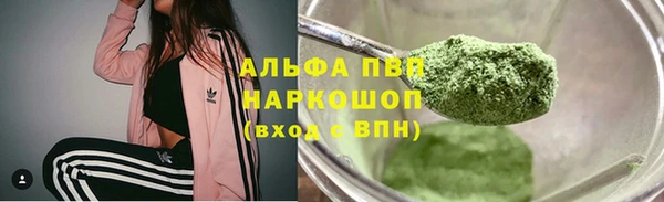 ПСИЛОЦИБИНОВЫЕ ГРИБЫ Абаза