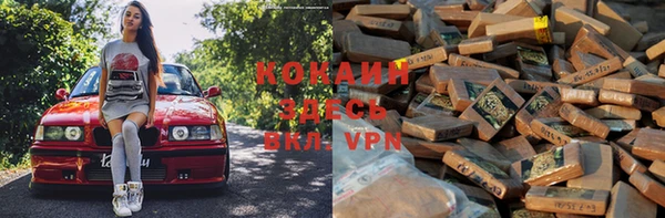 ПСИЛОЦИБИНОВЫЕ ГРИБЫ Абаза