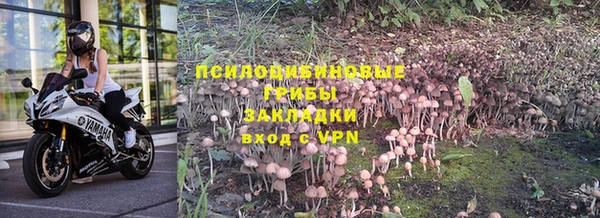 тгк Абинск