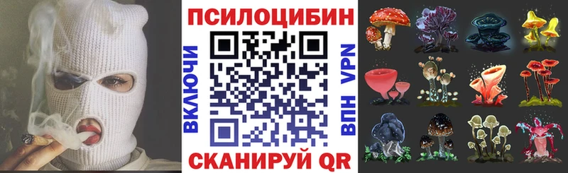Галлюциногенные грибы Psilocybine cubensis дарнет шоп Знаменск